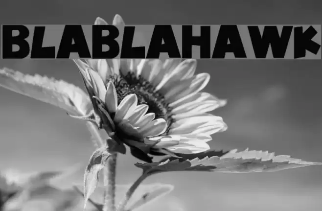 BlablaHawk Font examples