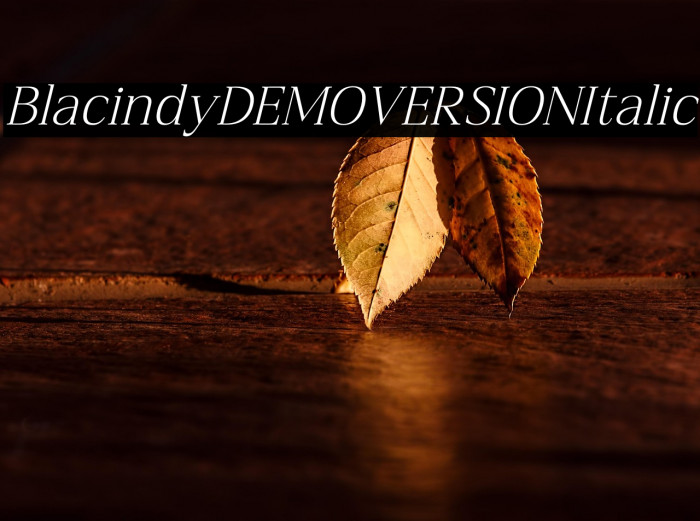 Blacindy DEMO VERSION Italic Example 3