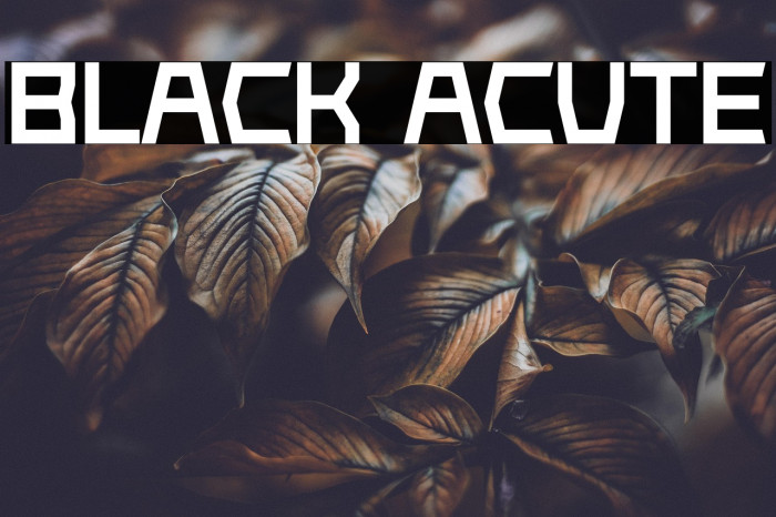 Black Acute Example 3