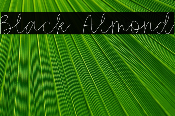 Black Almond Example 3