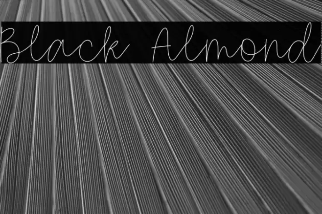 Black Almond Font examples