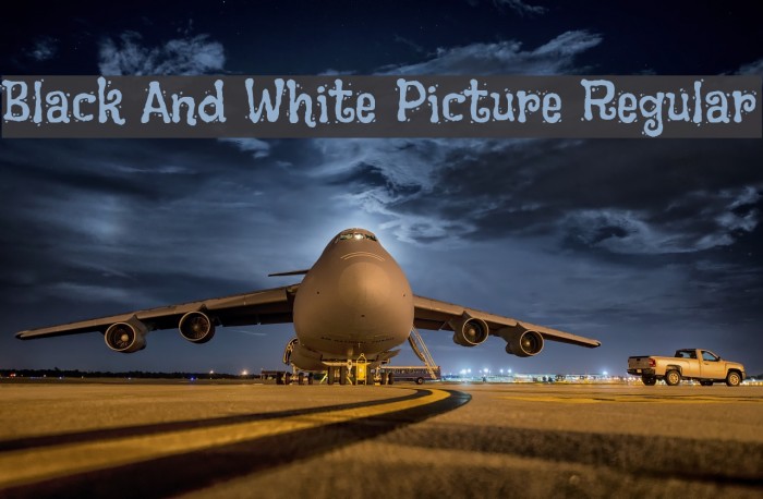 Black And White Picture Regular Font examples