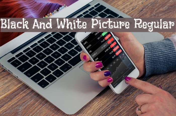 Black And White Picture Regular Font examples