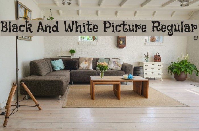 Black And White Picture Regular Font examples