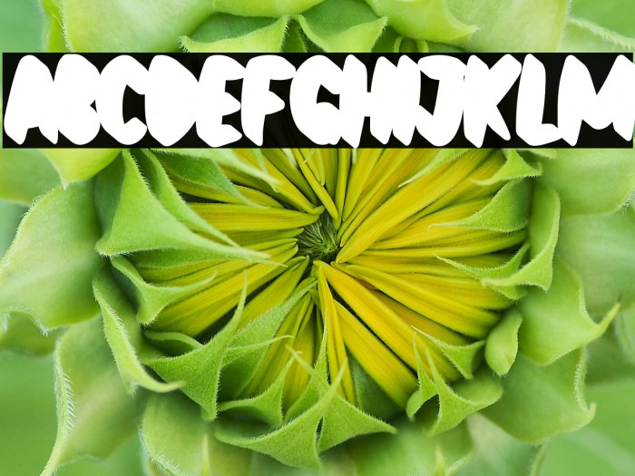 Black Archer Shadow Example 1