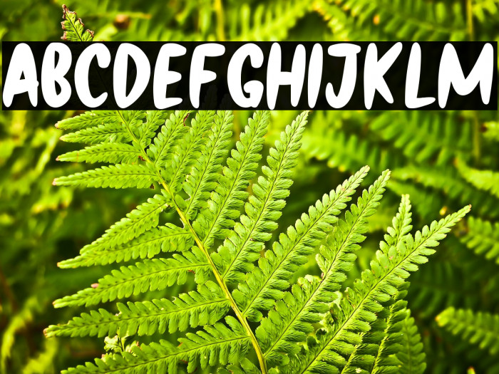 Black Archer Example 1