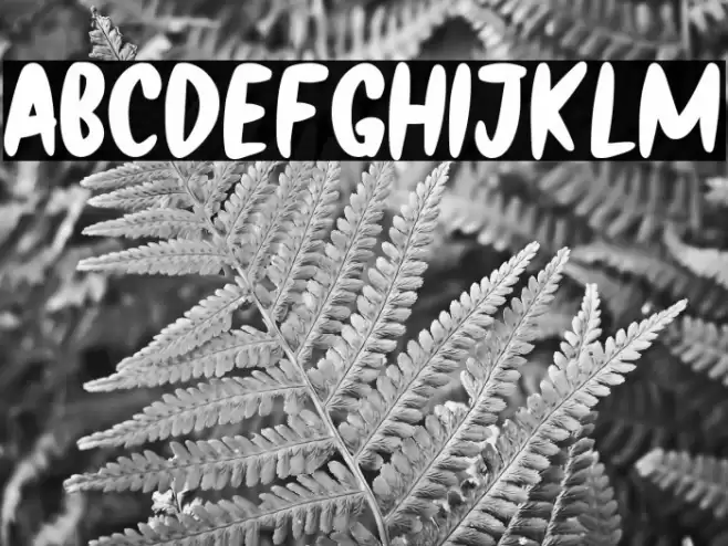 Black Archer Font examples