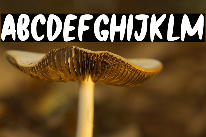 Black Archer Example 2