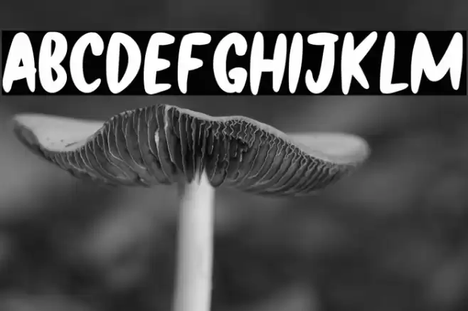 Black Archer Font examples