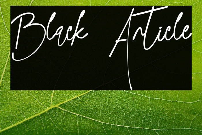 Black Article Example 2