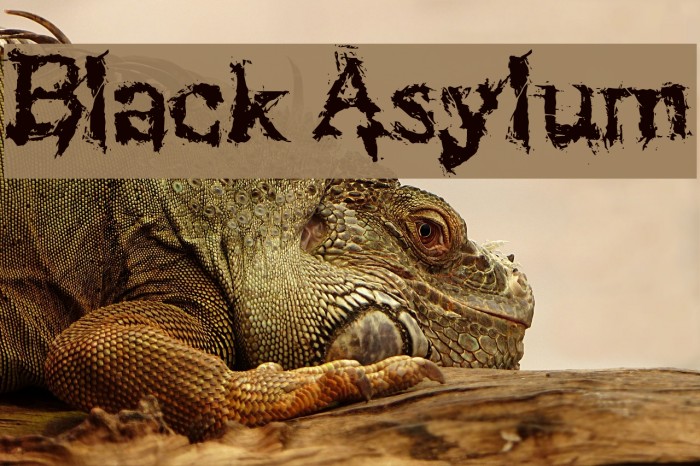 Black Asylum Font examples