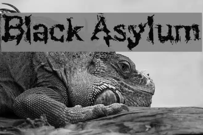 Black Asylum フォント examples