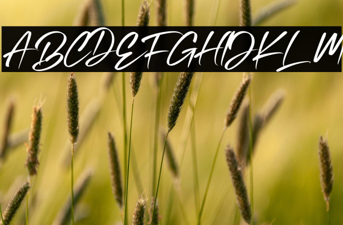 Black Attacks Example 1