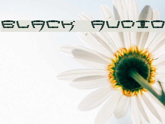 Black Audio Example 1