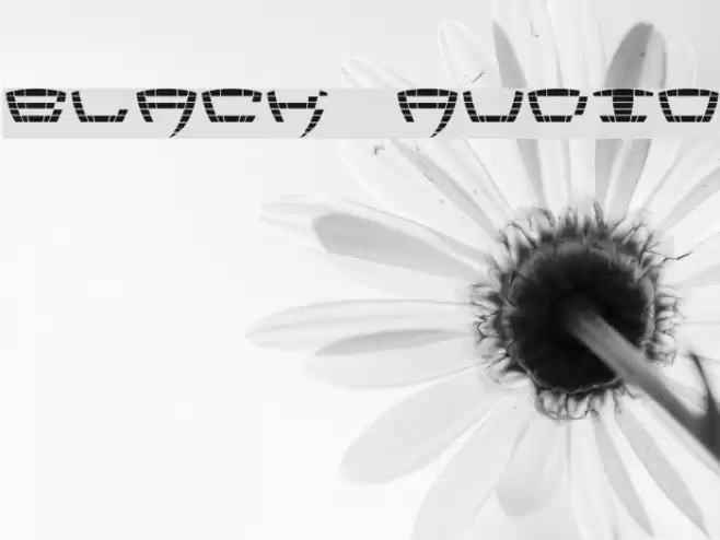 Black Audio Font examples