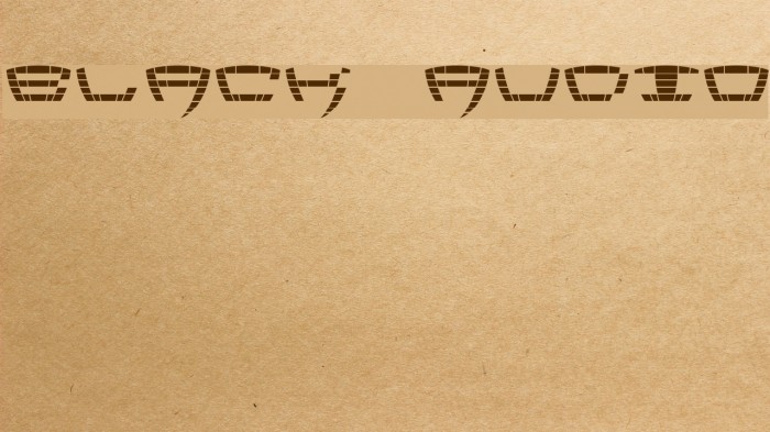 Black Audio Example 3