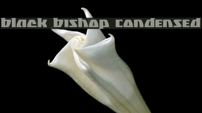 Black Bishop Condensed Example 1