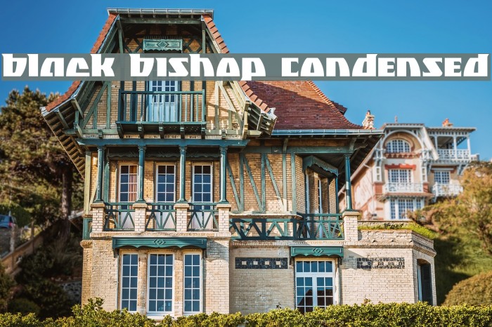 Black Bishop Condensed Example 2