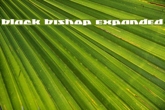 Black Bishop Expanded Example 1