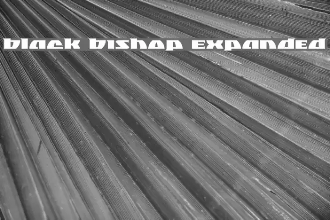 Black Bishop Expanded Font examples