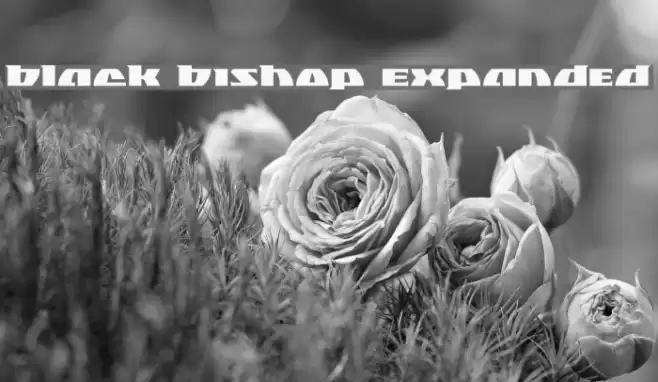 Black Bishop Expanded Font examples
