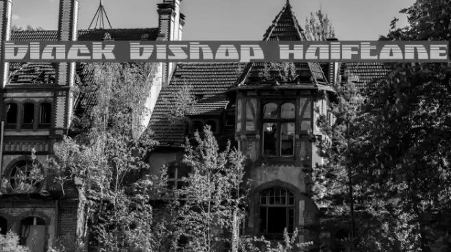 Black Bishop Halftone Font examples