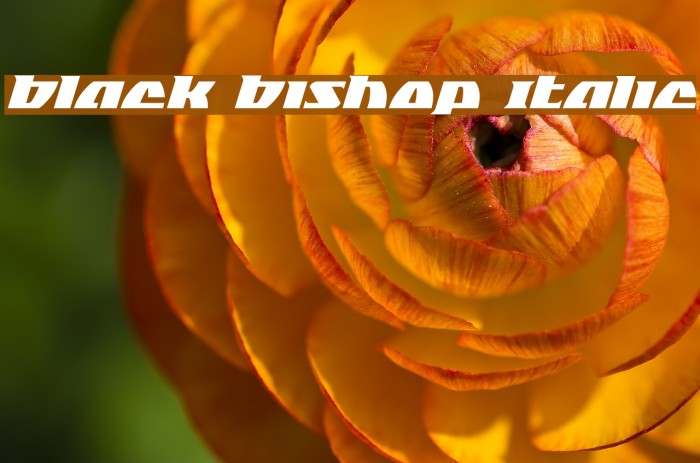 Black Bishop Italic Font examples
