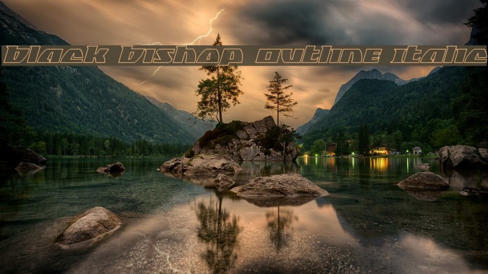 Black Bishop Outline Italic Example 1