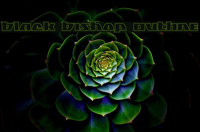 Black Bishop Outline Example 2