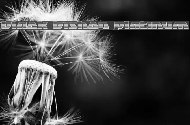 Black Bishop Platinum Font examples