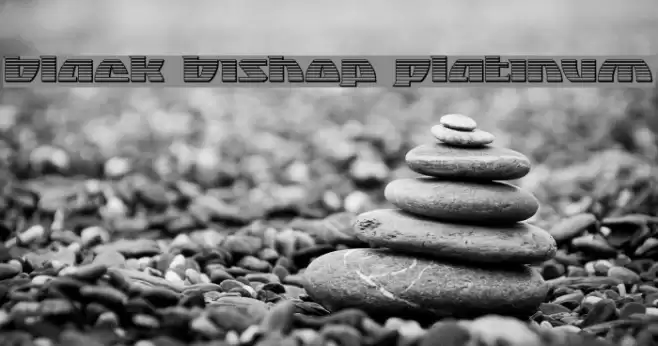 Black Bishop Platinum Font examples