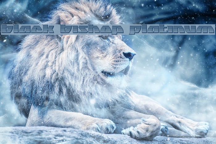 Black Bishop Platinum Example 3