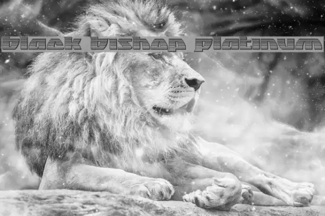 Black Bishop Platinum Font examples