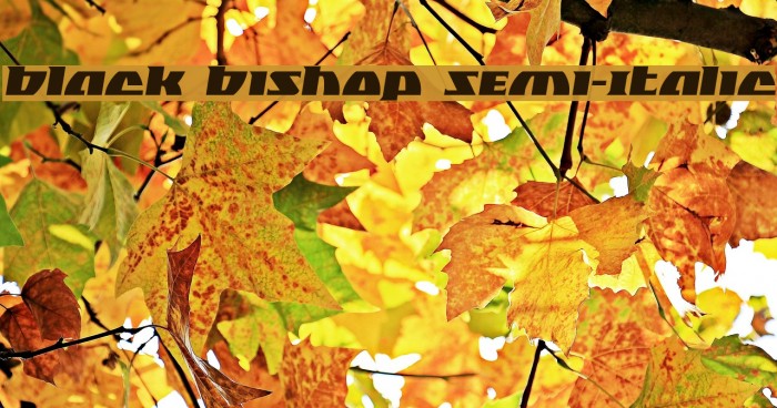 Black Bishop Semi-Italic Font examples