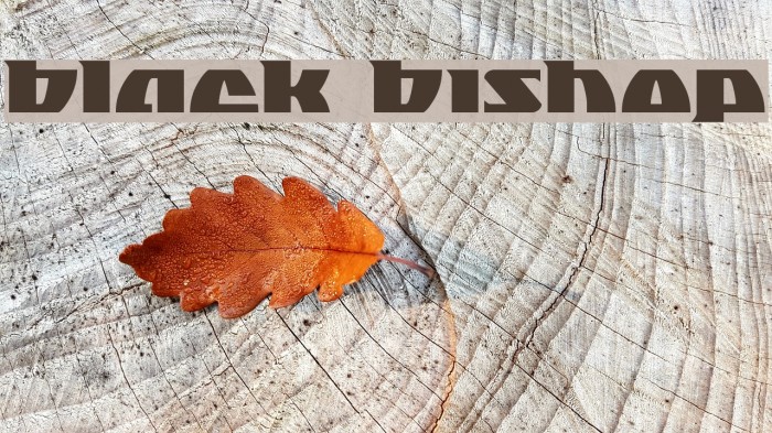 Black Bishop Font examples