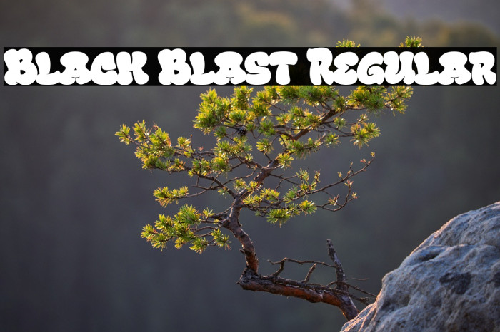 Black Blast Regular Example 2