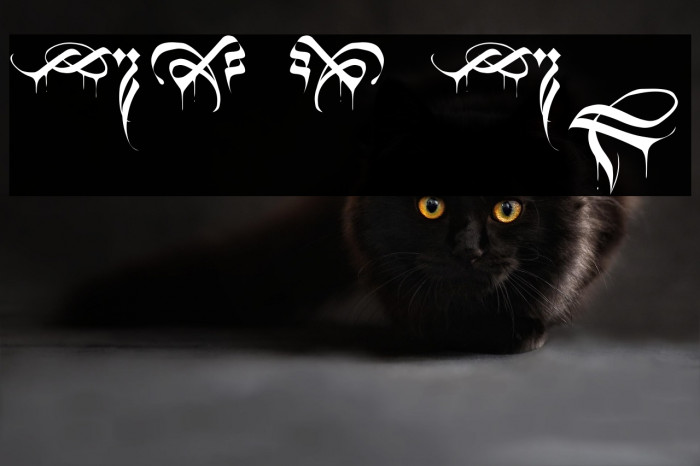 Black Blood Ornament Example 1