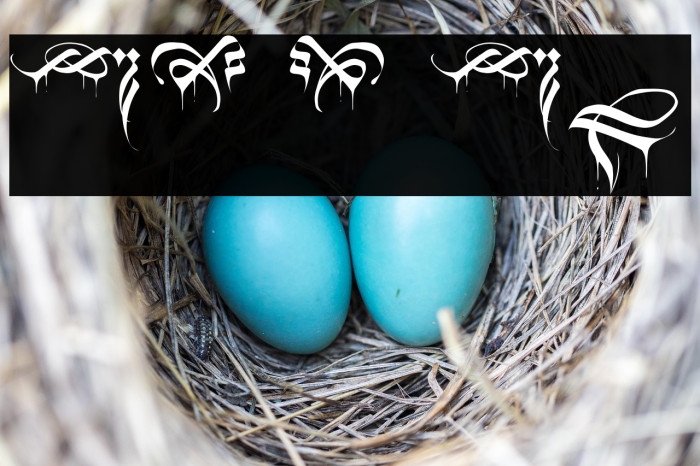 Black Blood Ornament Example 3