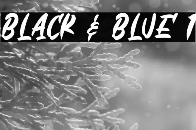 Black & Blue 1 Font examples
