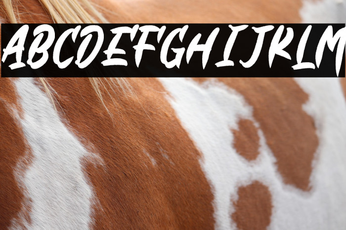 Black & Blue Rough Example 3