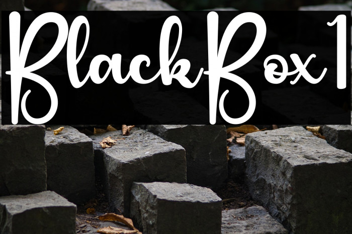 Black Box1 Example 2