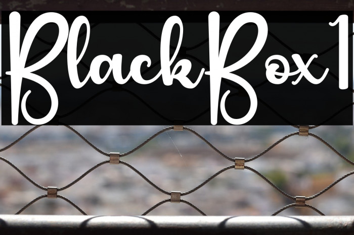 Black Box1 Example 3