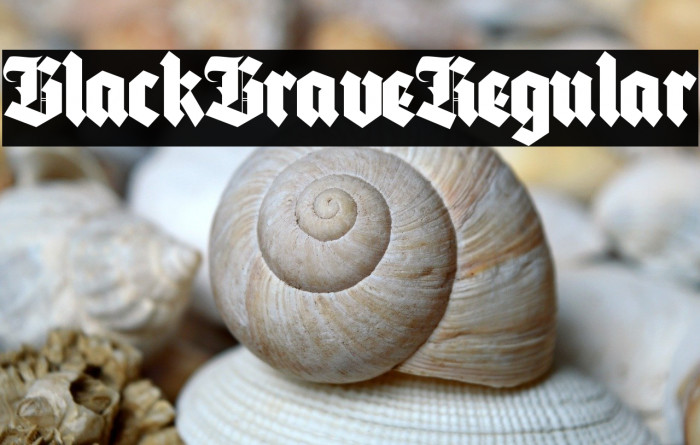 Black Brave Regular Example 2