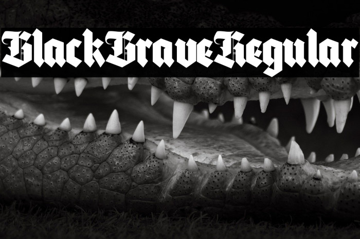 Black Brave Regular Example 3