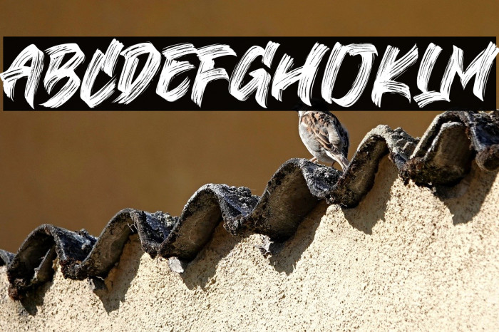 Black Bruno Example 1