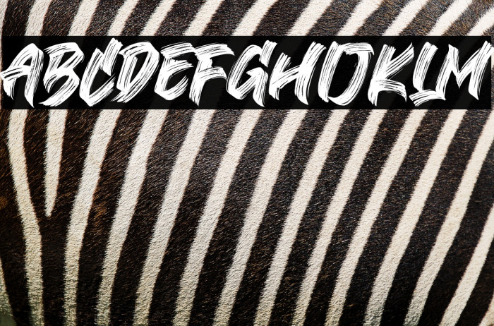 Black Bruno Example 3