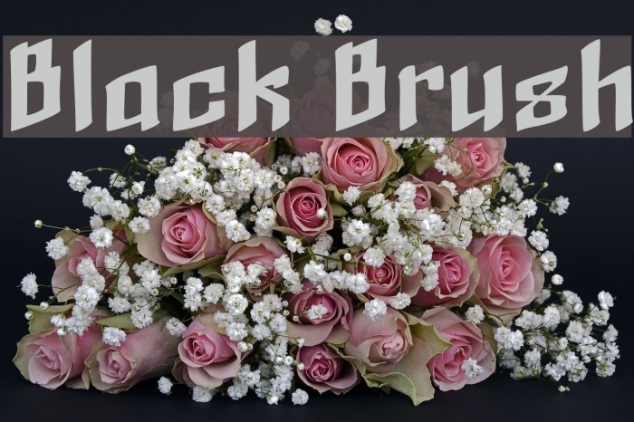 Black Brush Example 3