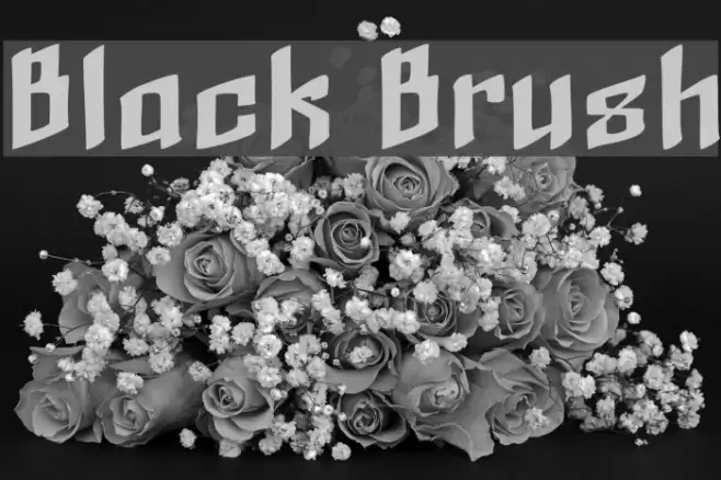 Black Brush Font examples