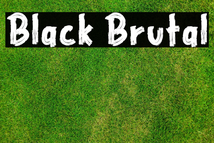 Black Brutal Example 3