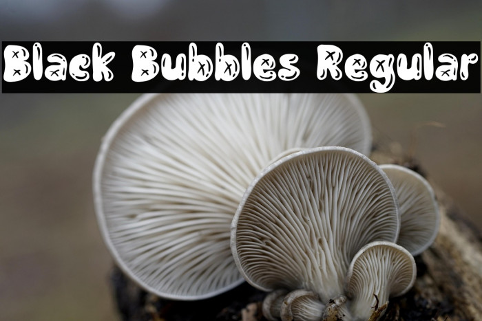 Black Bubbles Regular Example 3